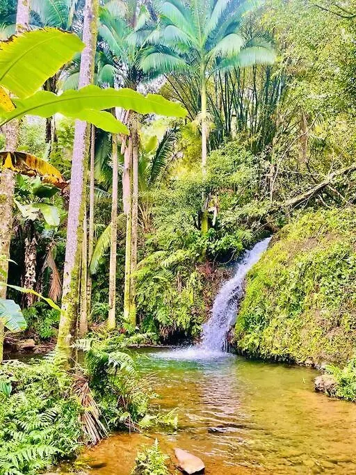 Private Waterfalls , Massive Big Island Estate, Ocean Views , Unbelievable Location Villa Hakalau 0*,