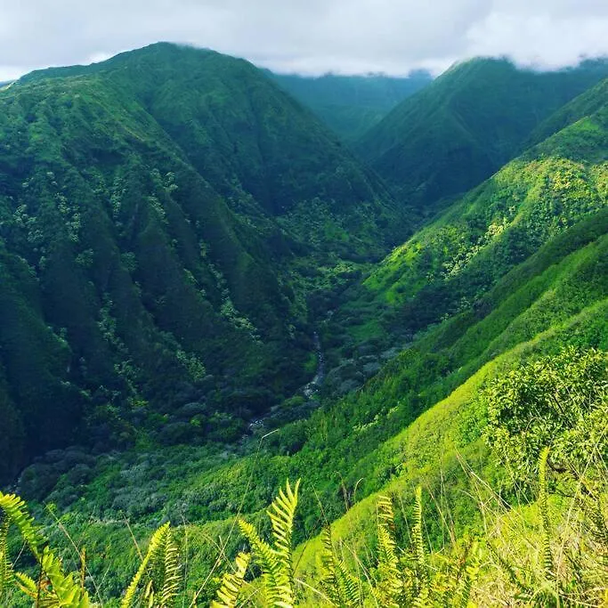 Private Waterfalls , Massive Big Island Estate, Ocean Views , Unbelievable Location Villa Hakalau