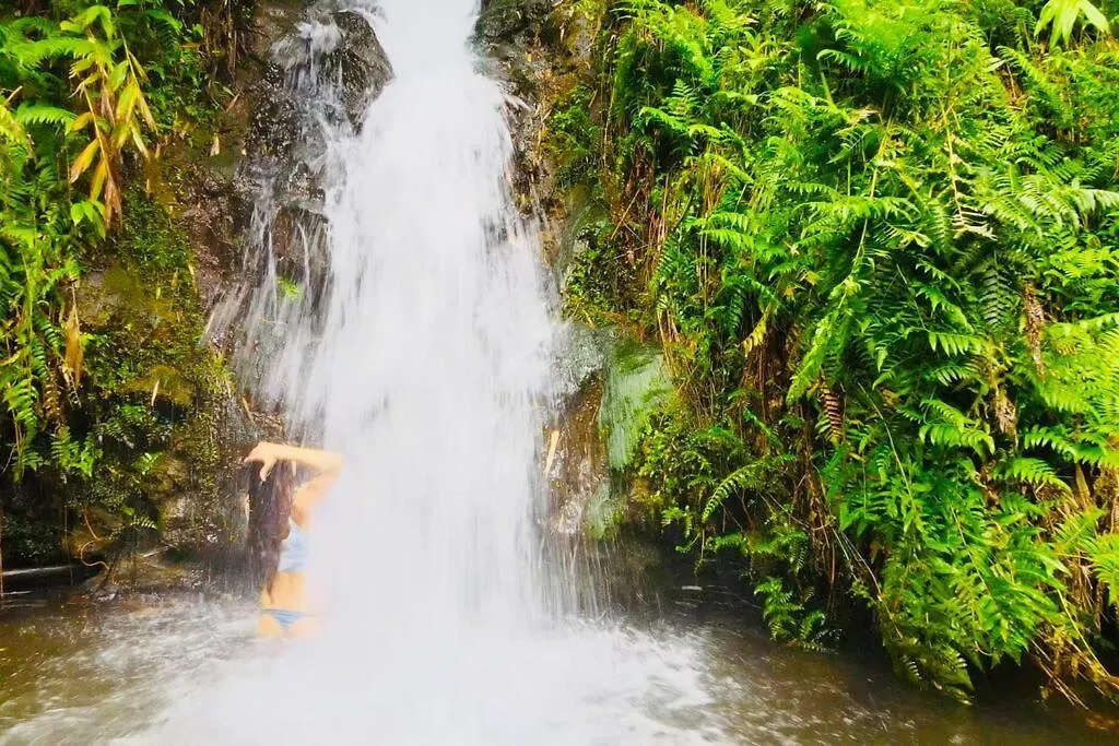 Holiday home Private Waterfalls , Massive Big Island Estate, Ocean Views , Unbelievable Location Villa Hakalau