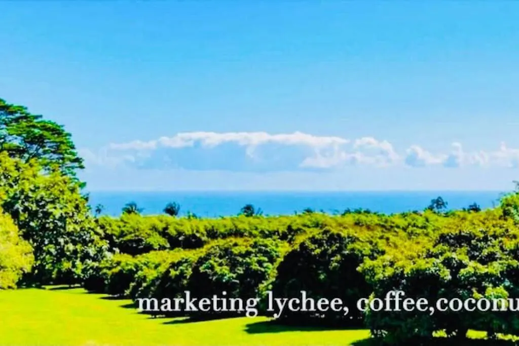 Private Waterfalls , Massive Big Island Estate, Ocean Views , Unbelievable Location Villa Hakalau United States