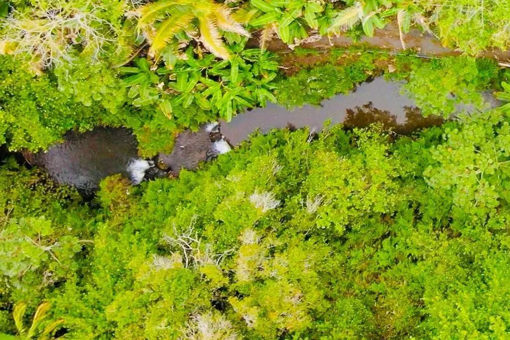 Private Waterfalls , Massive Big Island Estate, Ocean Views , Unbelievable Location Villa Hakalau Holiday home