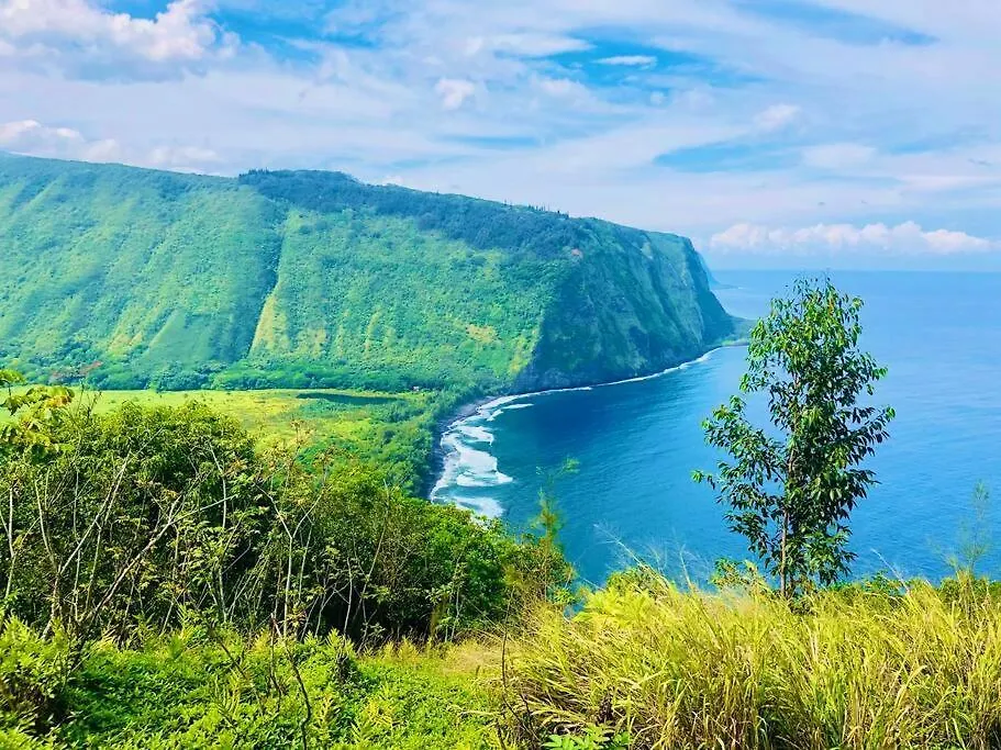 Private Waterfalls , Massive Big Island Estate, Ocean Views , Unbelievable Location Villa Hakalau 0*,  United States