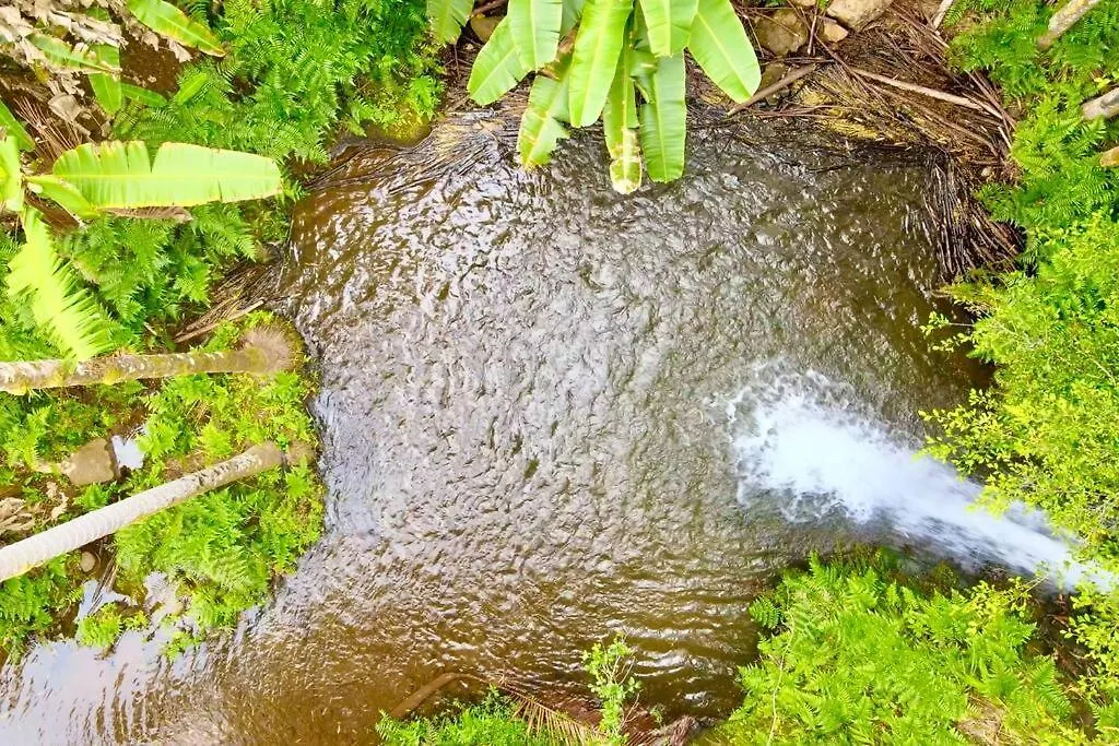 Private Waterfalls , Massive Big Island Estate, Ocean Views , Unbelievable Location Villa Hakalau 0*,