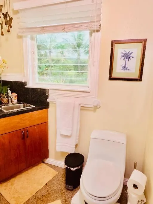 Vila Private Waterfalls , Massive Big Island Estate, Ocean Views , Unbelievable Location Hakalau 0*,  USA