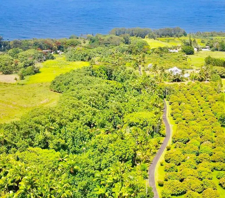 Prázdninový dům Vila Private Waterfalls , Massive Big Island Estate, Ocean Views , Unbelievable Location Hakalau USA